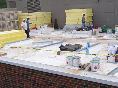 Existing Roof (2)