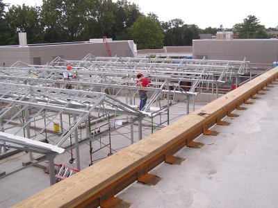 Greenhouse (2)