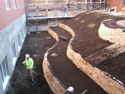 Courtyard (1)