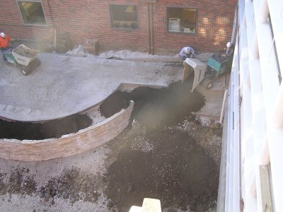 Courtyard (3)