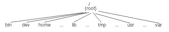 root directory hierarchy