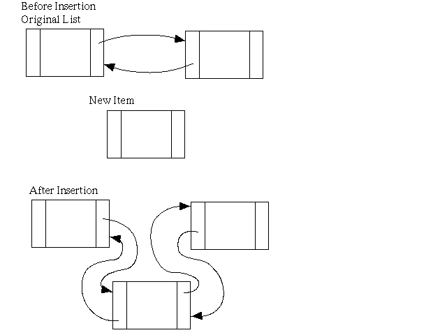 Insertion into a Doubly Linked List