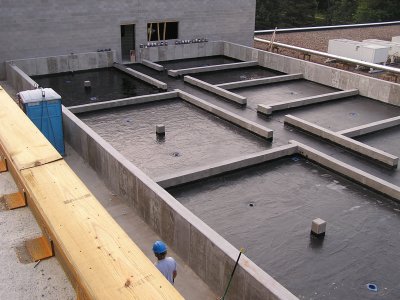 Greenhouse (1)