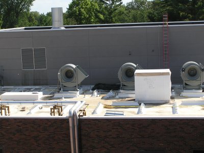 Roof (6)